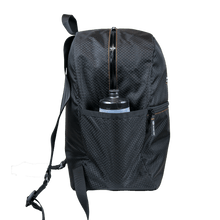 Load image into Gallery viewer, Everyday Bag