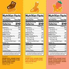 Load image into Gallery viewer, Skout Organic Peanut Butter Protein Bar Bundle - 15 Pack
