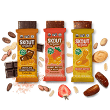 Load image into Gallery viewer, Skout Organic Peanut Butter Protein Bar Bundle - 15 Pack
